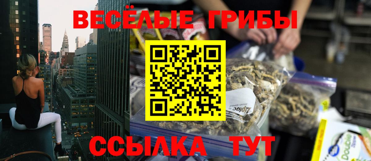 даркнет сайт  Вход с VPN  Нарткала  Псилоцибиновые грибы ЛСД  Галлюциногенные грибы Cubensis 
